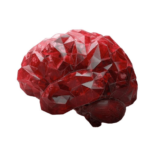 Geometric Brain